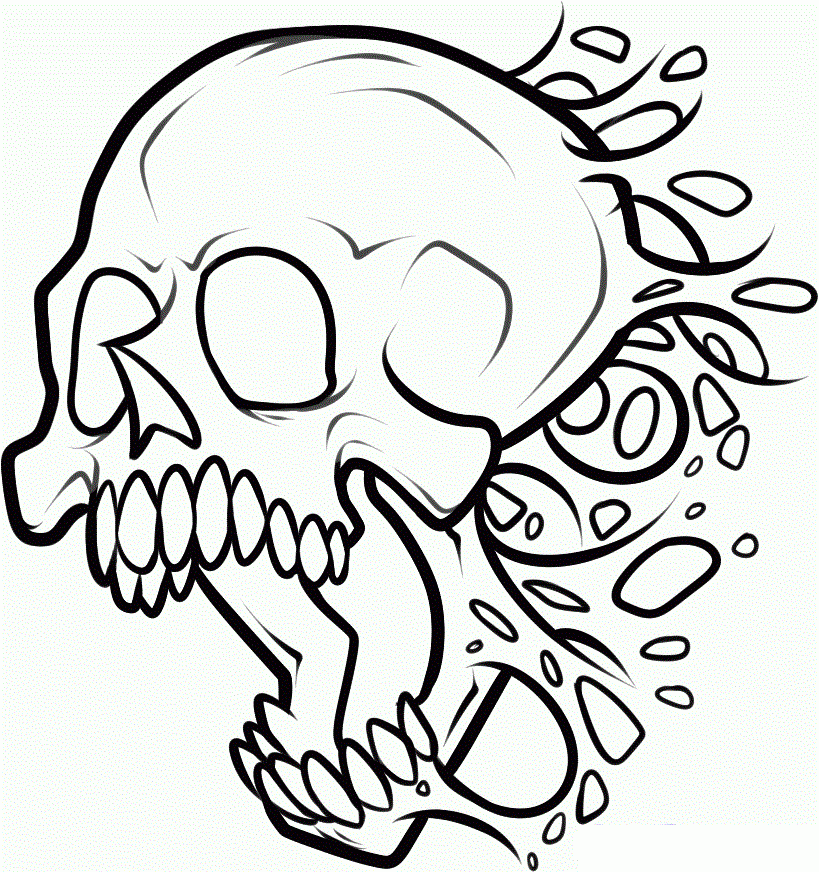 Clipart Skull 1265058 Clipart Skull 1265058