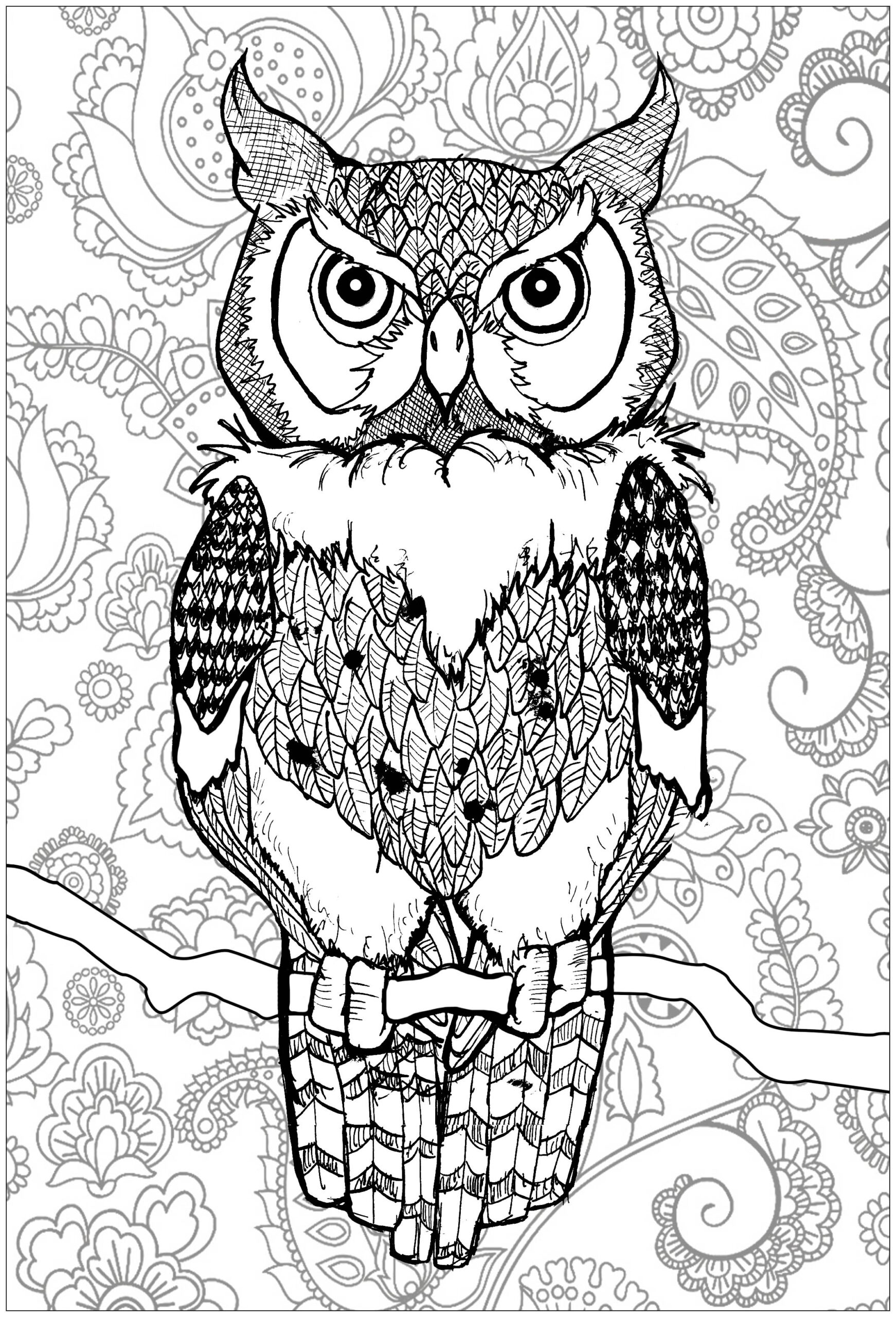 Collection Of Printable Owl Coloring Pages For Adults Free Printable Collection Of Printable Owl Coloring Pages For Adults Free Printable