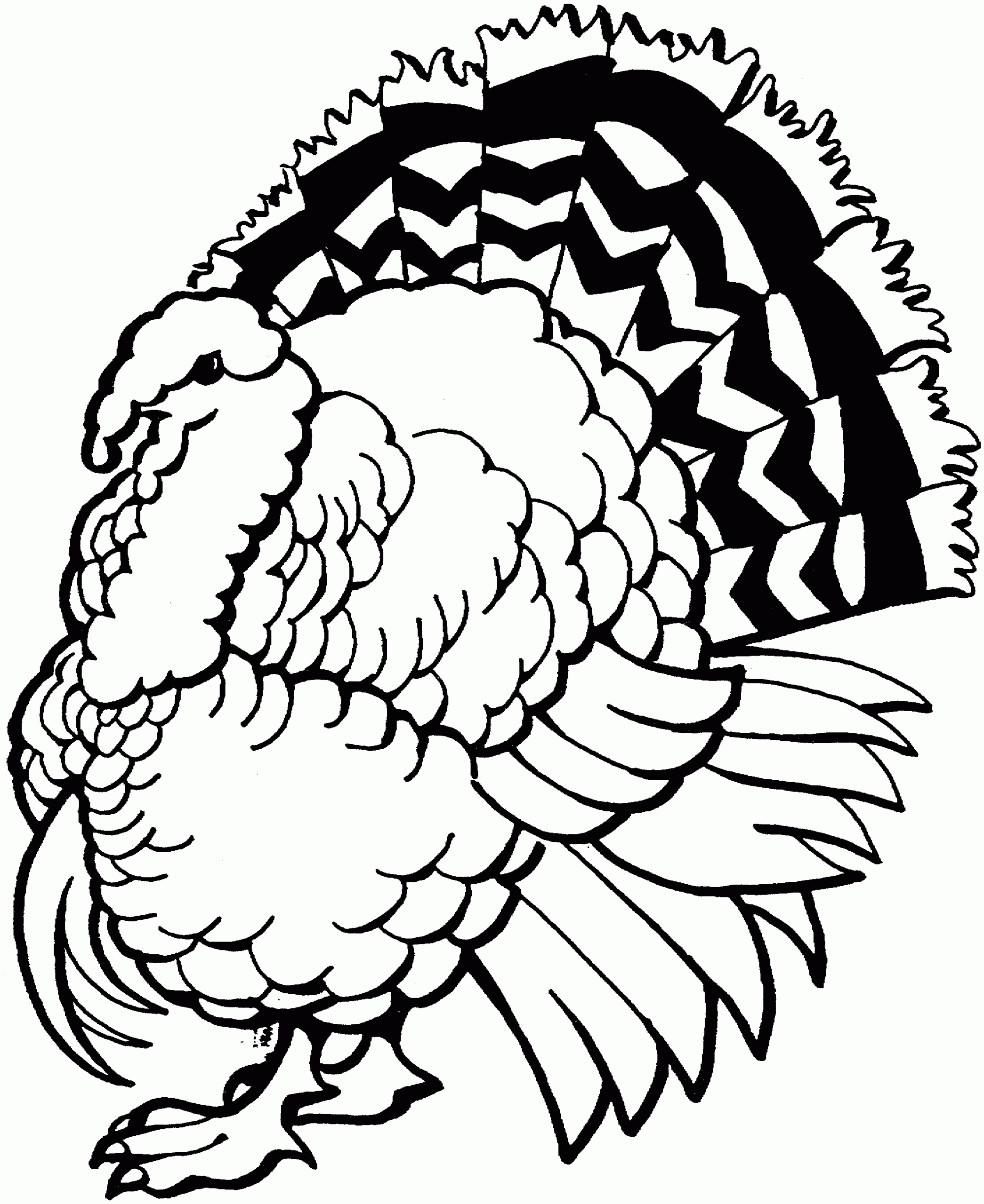 Collection Of Turkey Coloring Page Free Printable