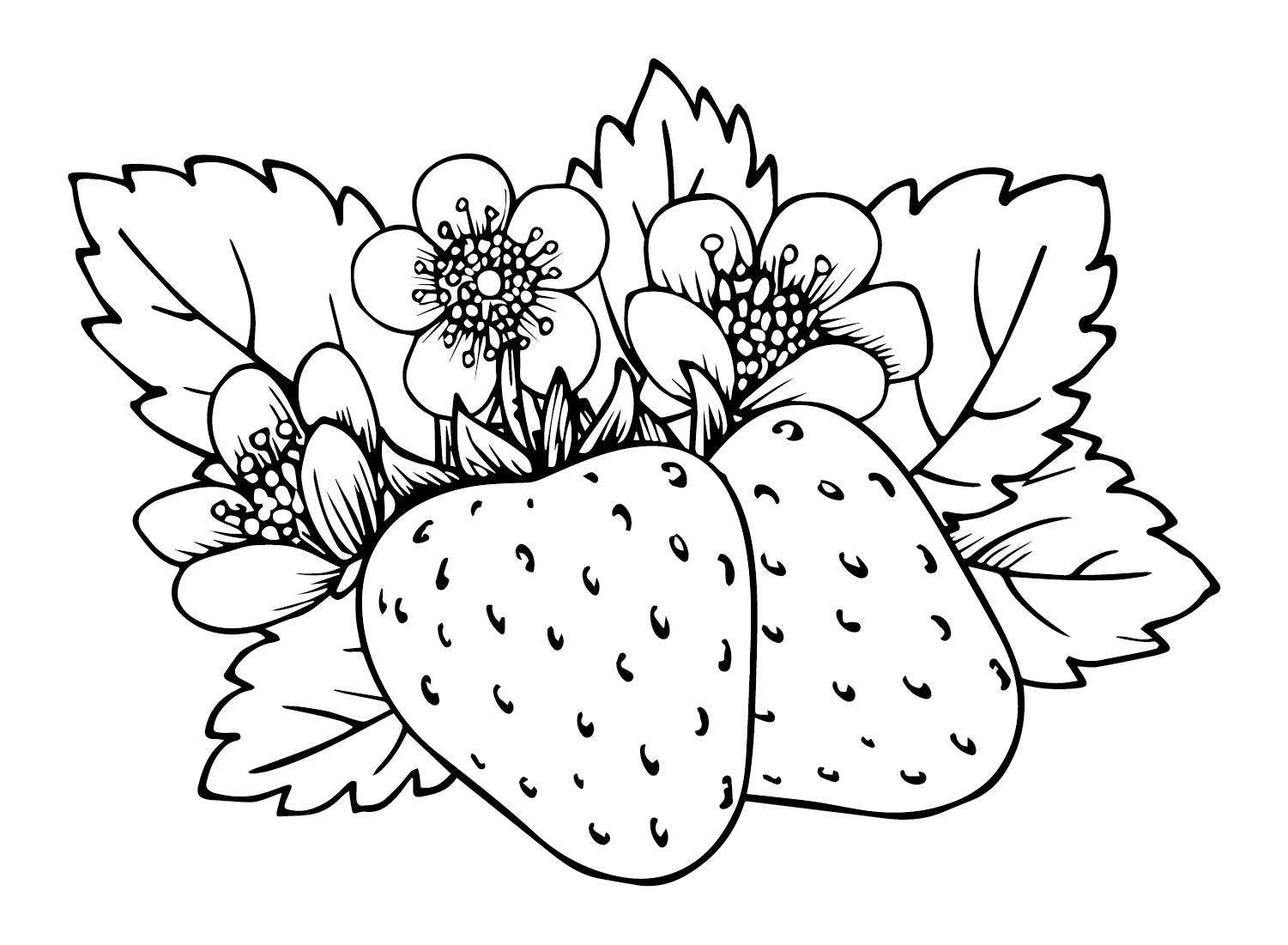 Coloriage Fraise Gratuit Coloriages Gratuits Imprimer