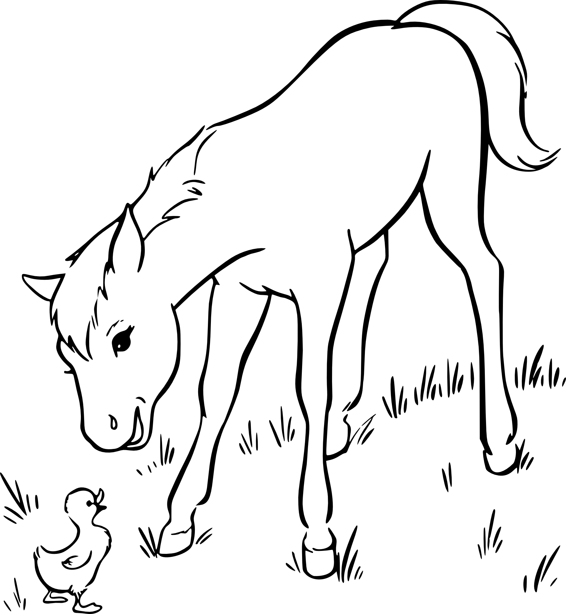 Coloriage Poulain Et Caneton Imprimer Coloriage Poulain Et Caneton Imprimer