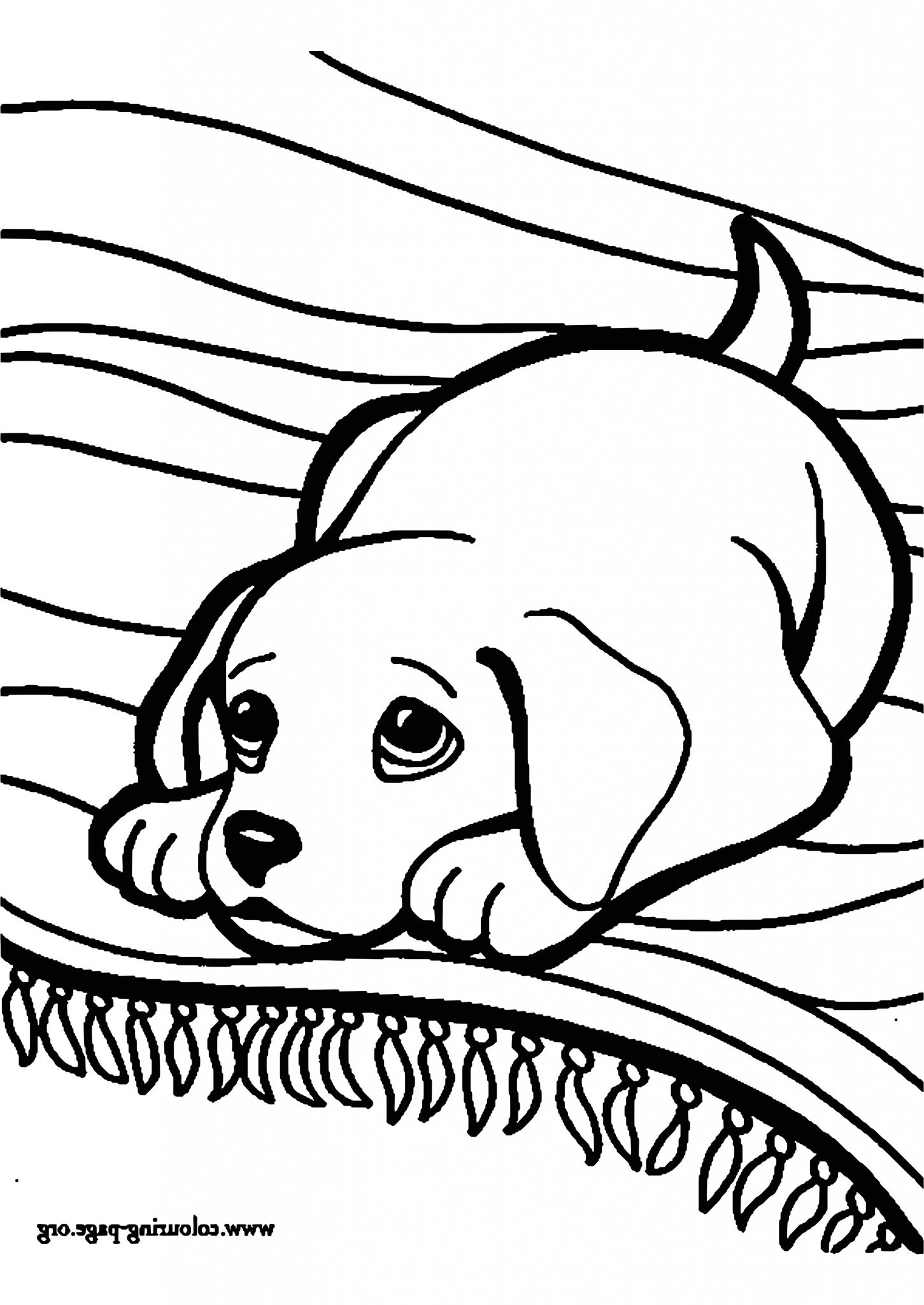 Coloriages D Animaux Luxe Photos Coloriage D Animaux Trop Mignon Dessin Coloriages D Animaux Luxe Photos Coloriage D Animaux Trop Mignon Dessin