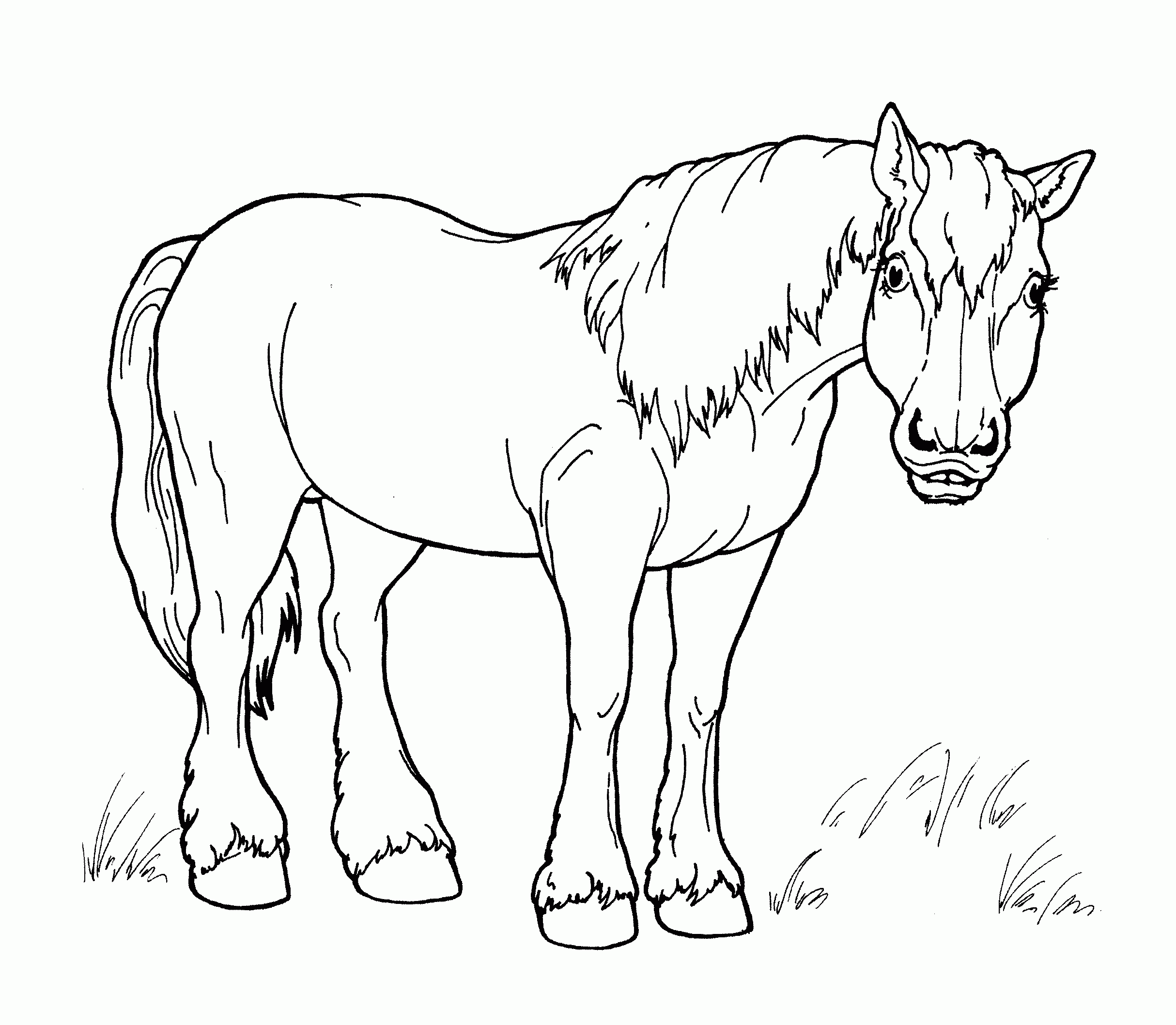Horse Coloring Pages Free Printable Horse Coloring Pages Free Printable