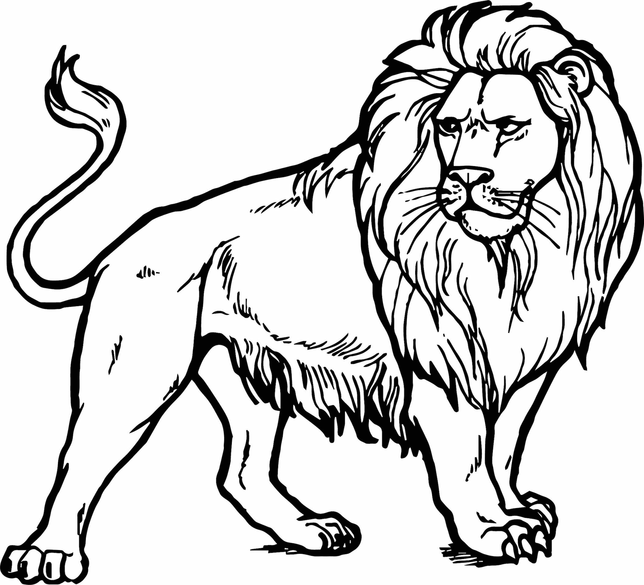 Coloring Page Lion Coloring Clipart And Other Free Printable
