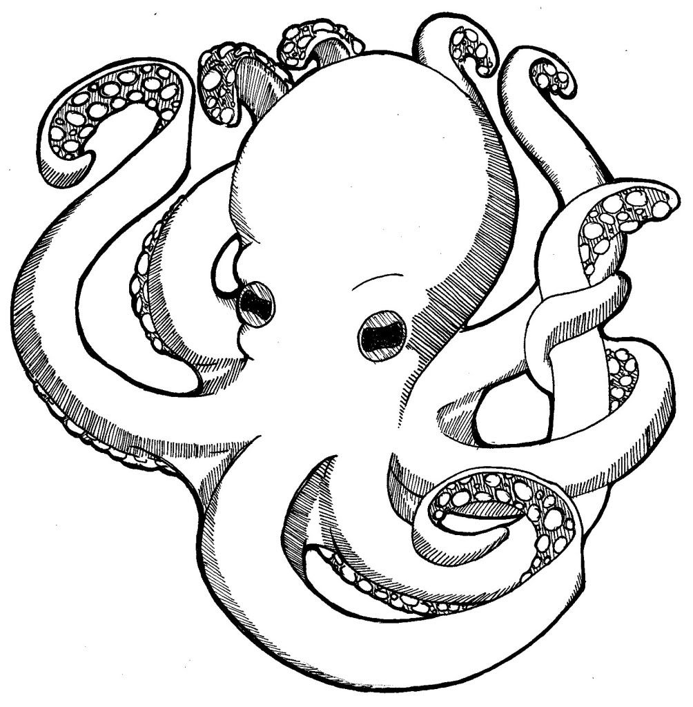 Coloring Page Of Octopus Coloring Home Coloring Page Of Octopus Coloring Home
