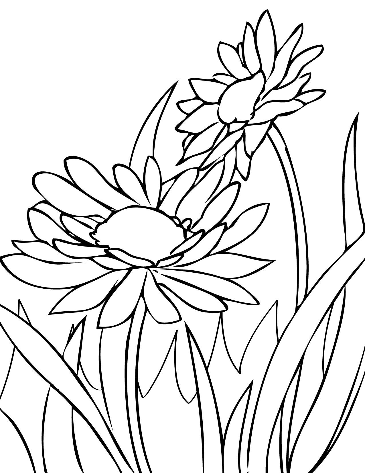 Realistic Flower Coloring Pages Printable