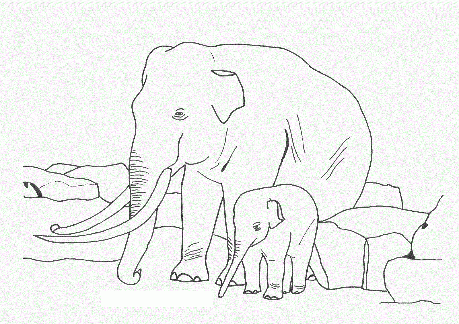 Coloring Pages Elephant Printable Coloring Pages Elephant Printable