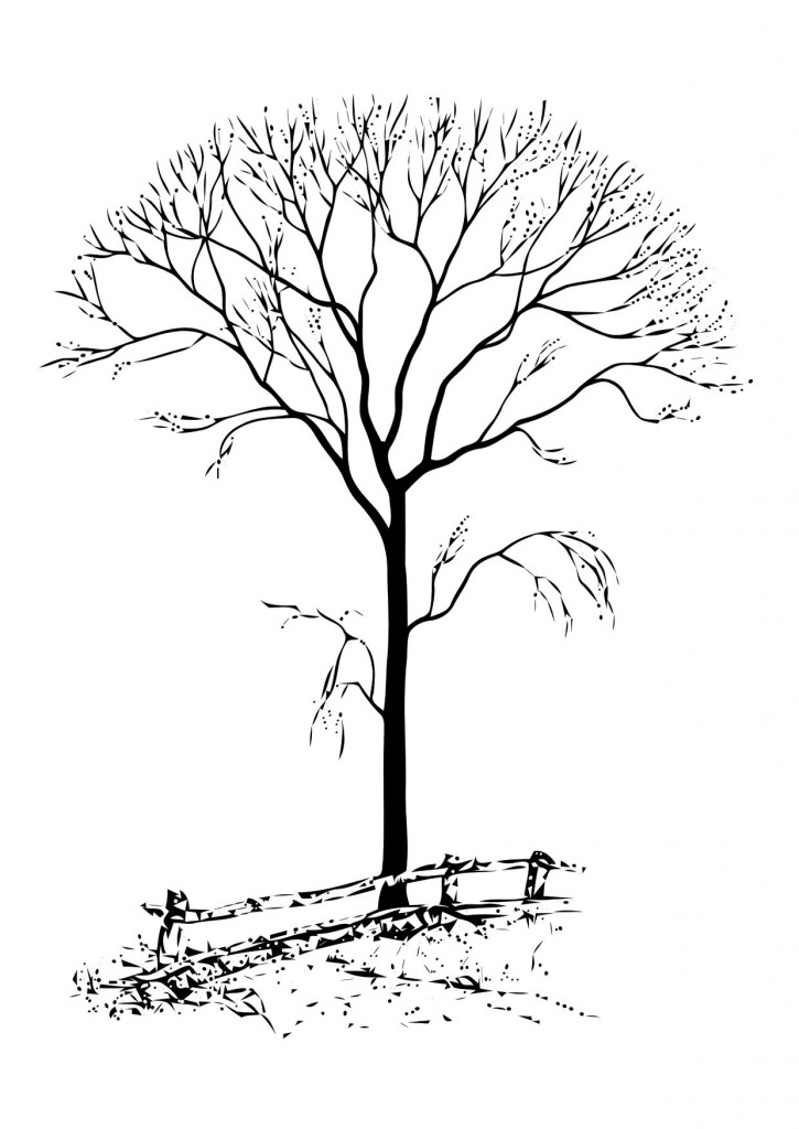 Coloring Pages For Christmas Tree Free Printable Tree Coloring Pages Coloring Pages For Christmas Tree Free Printable Tree Coloring Pages