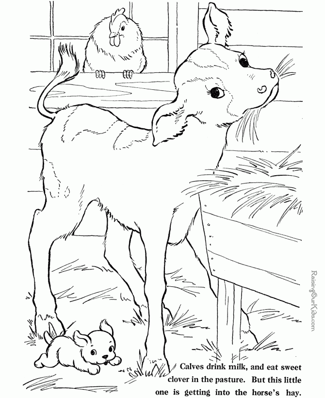 Coloring Pages For Farm Animals Printable Coloring Pages For Farm Animals Printable