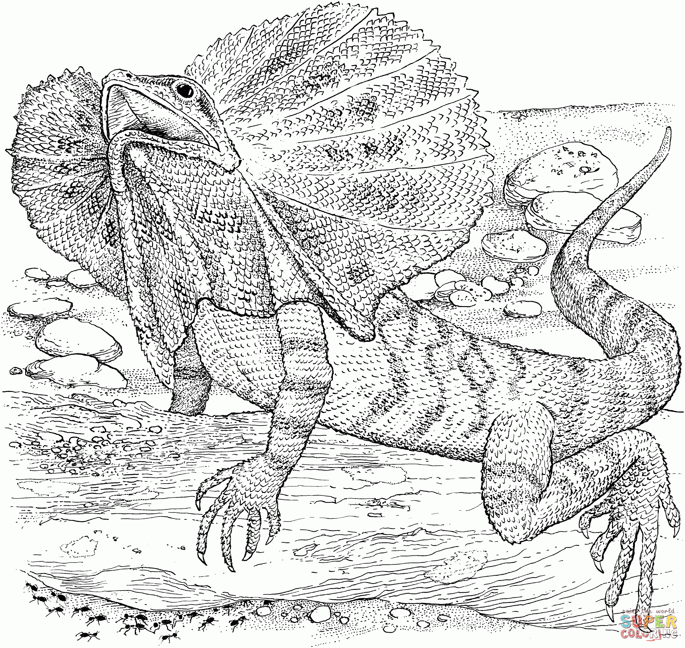 Coloring Pages Of A Lizard Coloring Home Coloring Pages Of A Lizard Coloring Home