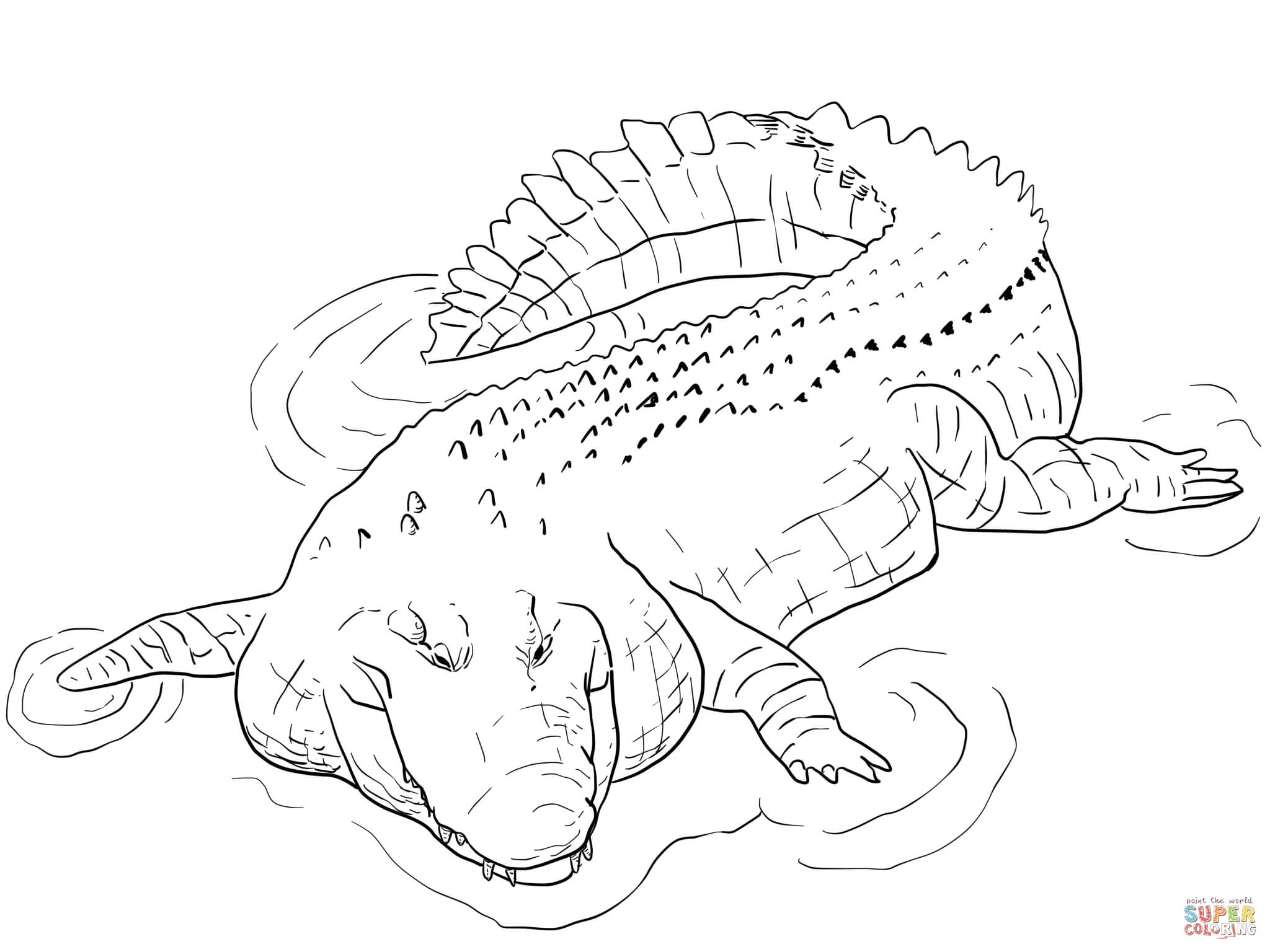 Crocodile Coloring Pages Printable Crocodile Coloring Pages Printable
