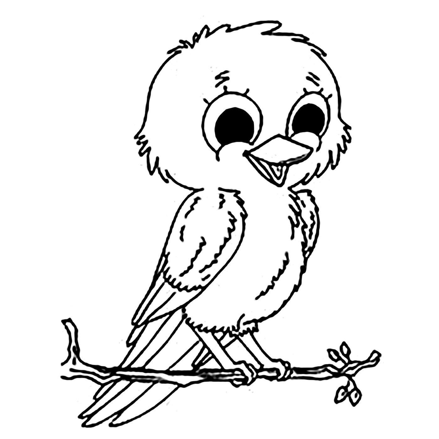 Coloring Pages Of Birds