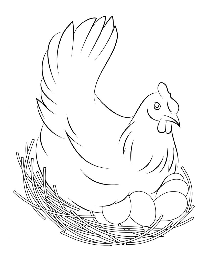 Coloring Pages Of Chickens Free Printable Templates Coloring Pages Of Chickens Free Printable Templates