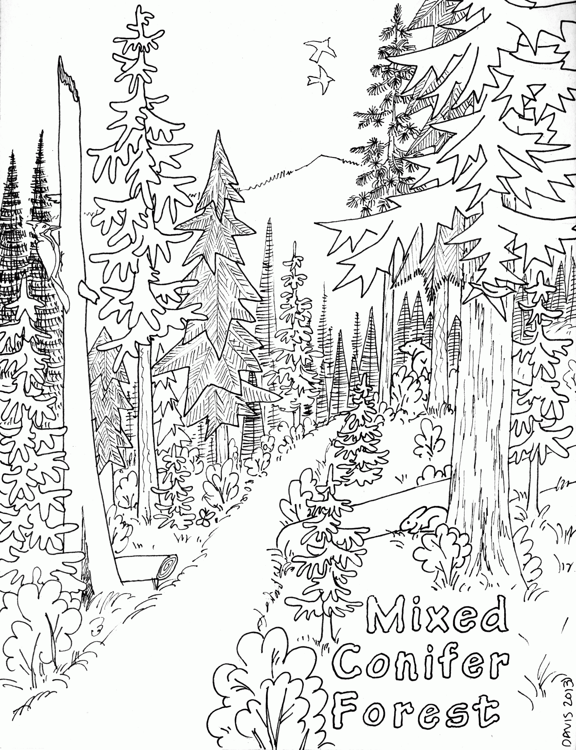 Printable Coloring Pages Of Nature Printable Coloring Pages Of Nature