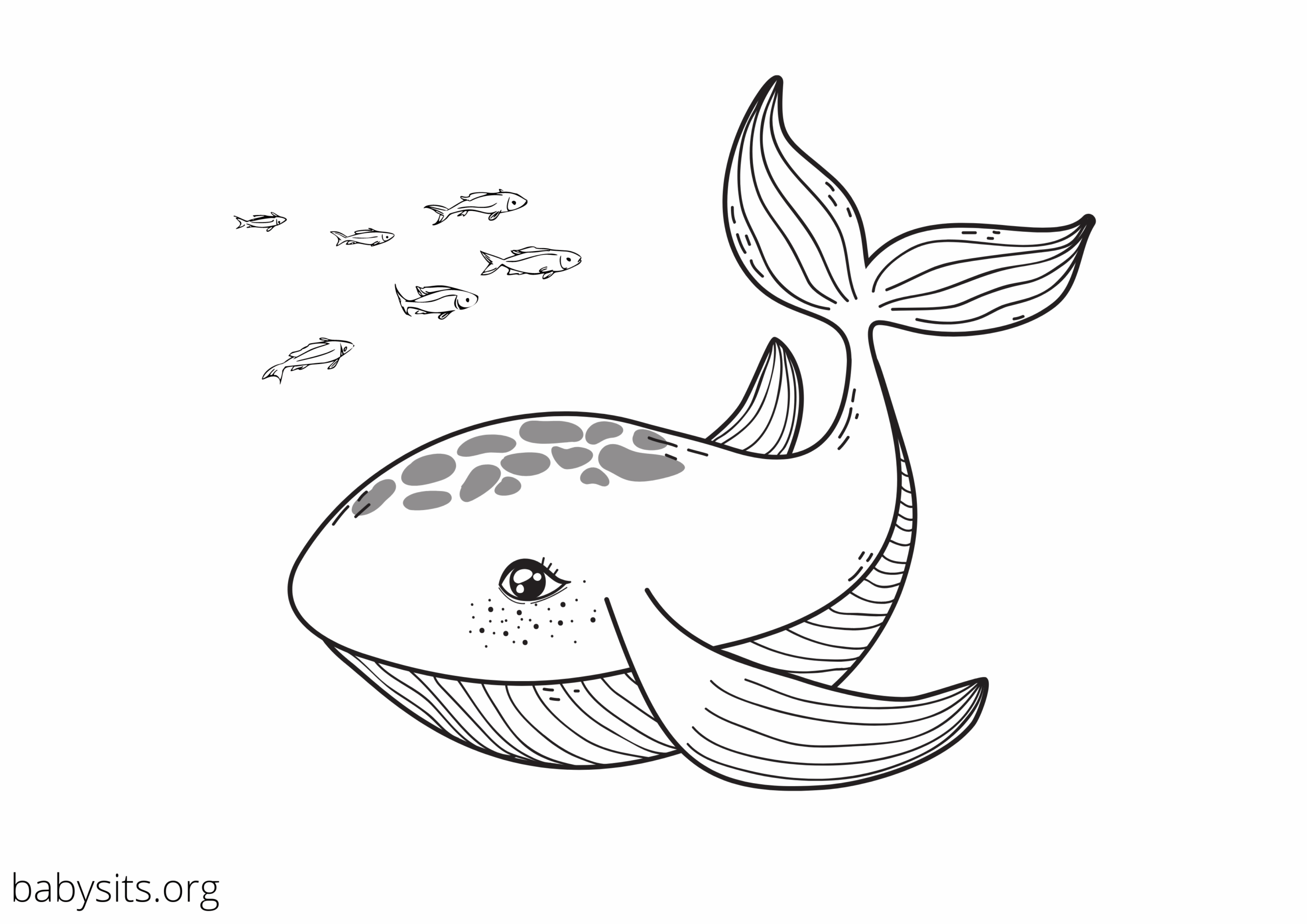 Coloring Pages Of Sea Animals Printable Coloring Pages Of Sea Animals Printable