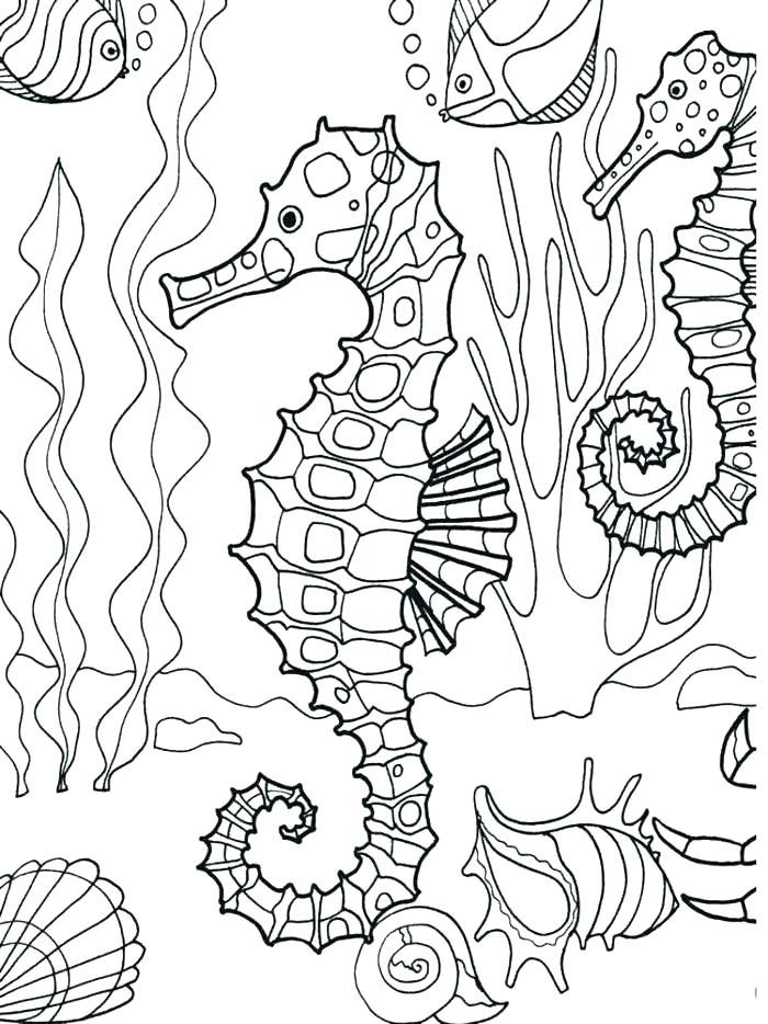 Coloring Pages Printable Ocean