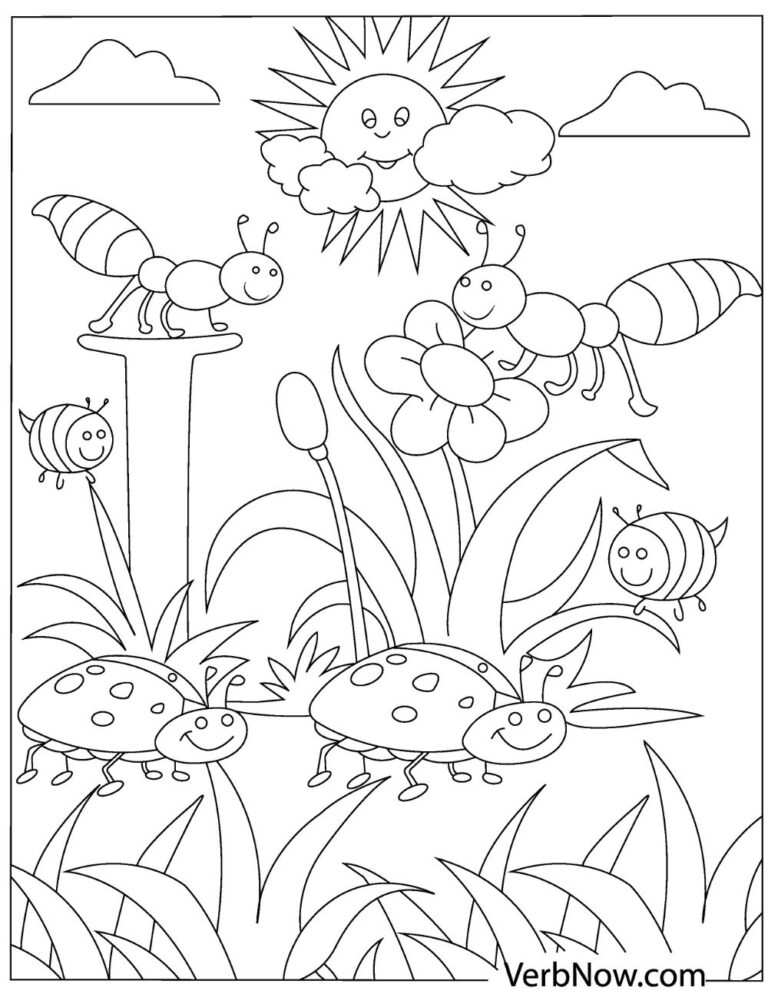 Coloring Sheets Of Insects Coloring Sheets Of Insects
