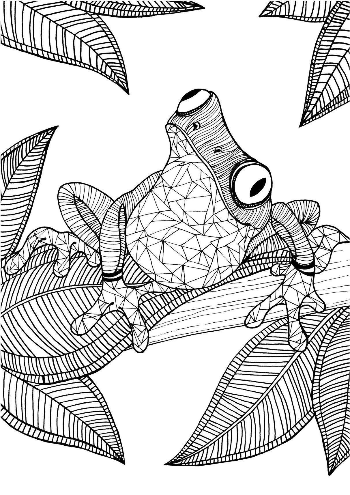 Colouring Page Unicorn Detailed Coloring Pages Frog Coloring Pages Colouring Page Unicorn Detailed Coloring Pages Frog Coloring Pages