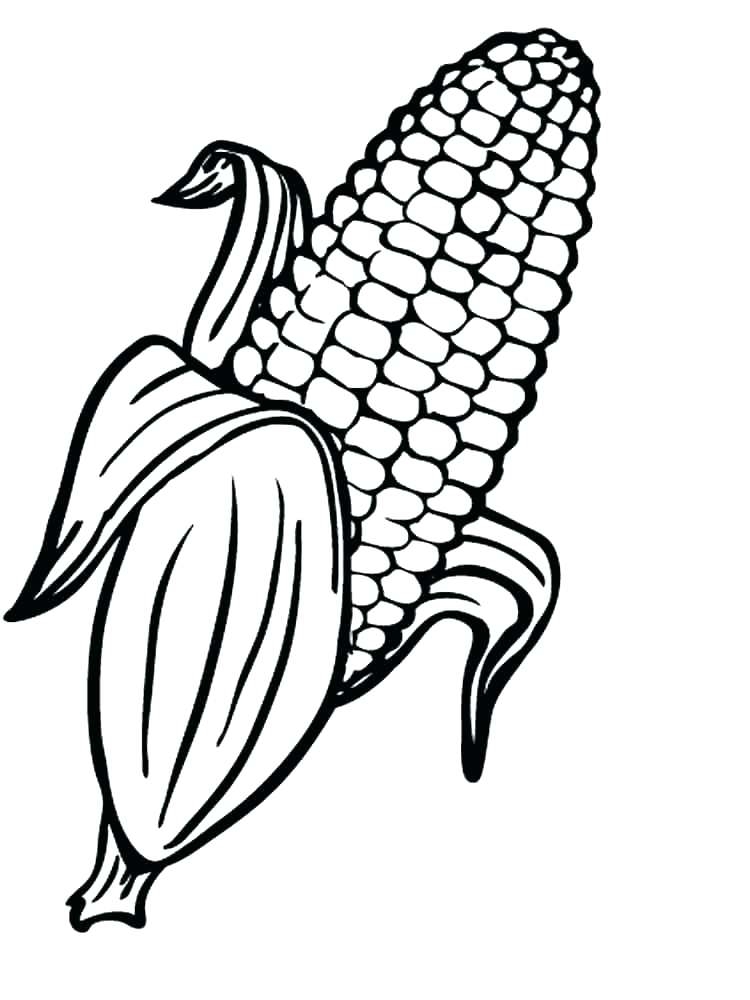 Corn Coloring Pages Best Coloring Pages For Kids Corn Coloring Pages Best Coloring Pages For Kids