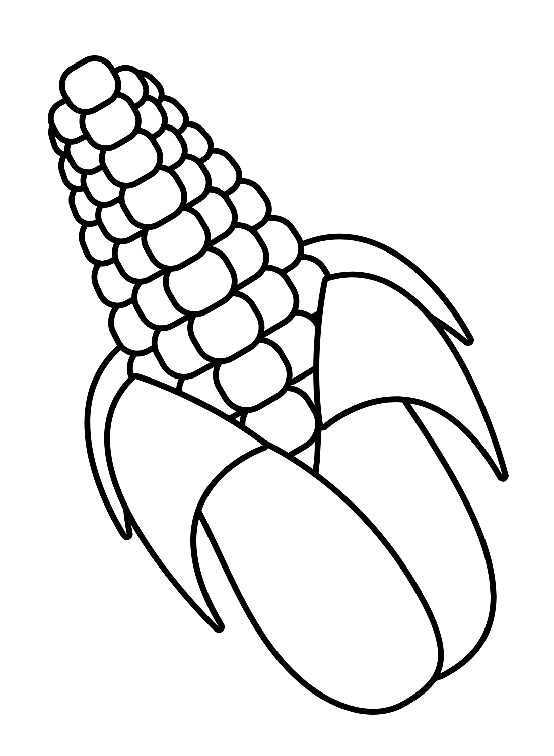 Corn Plant Page Coloring Pages Vrogue Co Corn Plant Page Coloring Pages Vrogue Co
