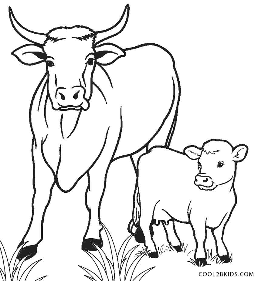 Cow Coloring Pages Free Printable Printable Templates