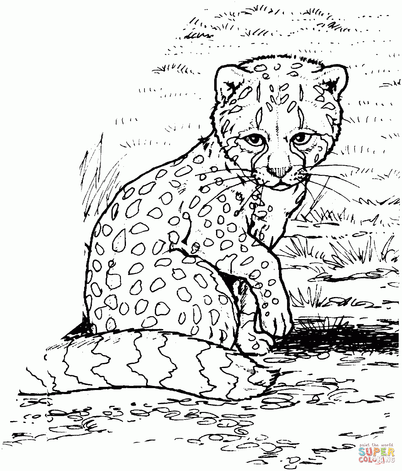 Cute Baby Cheetah Coloring Pages Coloring Home Cute Baby Cheetah Coloring Pages Coloring Home