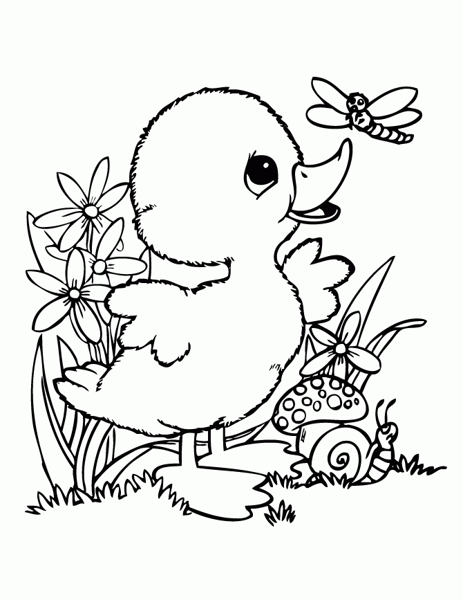 Cute Baby Duck Coloring Pages Google Search Coloring Pages Cute Cute Baby Duck Coloring Pages Google Search Coloring Pages Cute