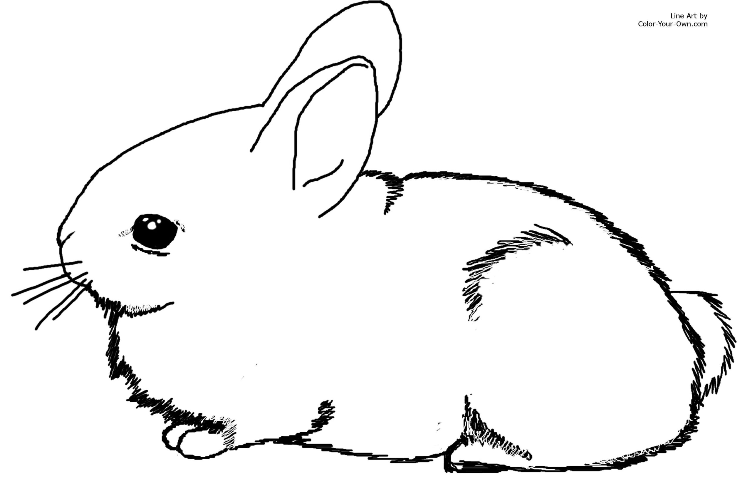 Cute Bunny Coloring Pages Printable Cute Bunny Coloring Pages Printable