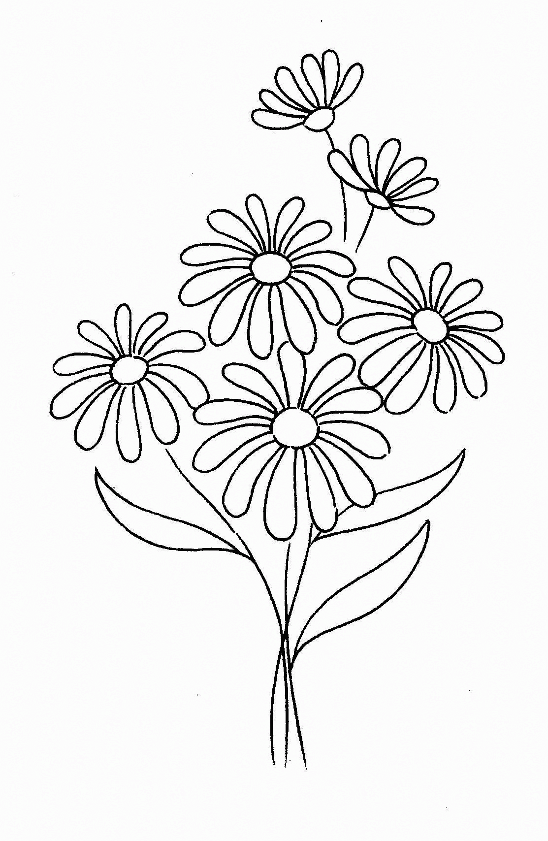 Daisy Coloring Page Daisy Coloring Page