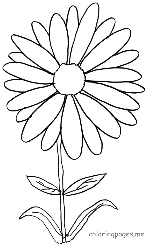 Daisy Coloring Pages To Print At GetColorings Free Printable
