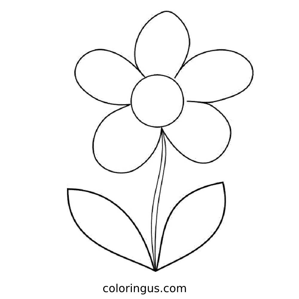 Daisy Flower Coloring Pages Free Printable PDF Daisy Flower Coloring Pages Free Printable PDF