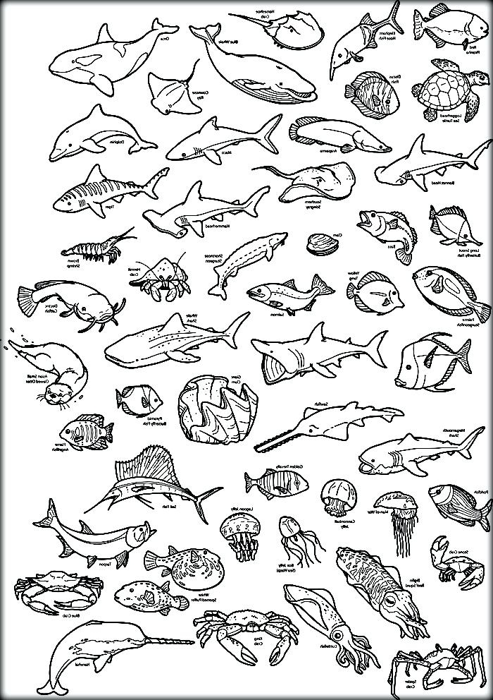 Printable Sea Creatures Coloring Pages Printable Sea Creatures Coloring Pages