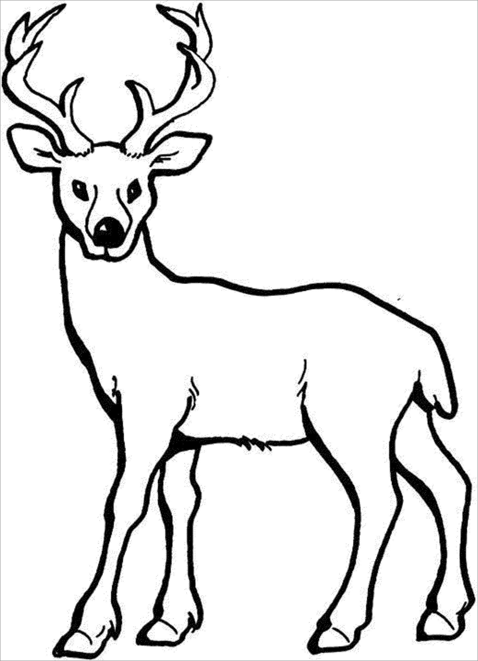 Deer Coloring Page For Kids ColoringBay Deer Coloring Page For Kids ColoringBay