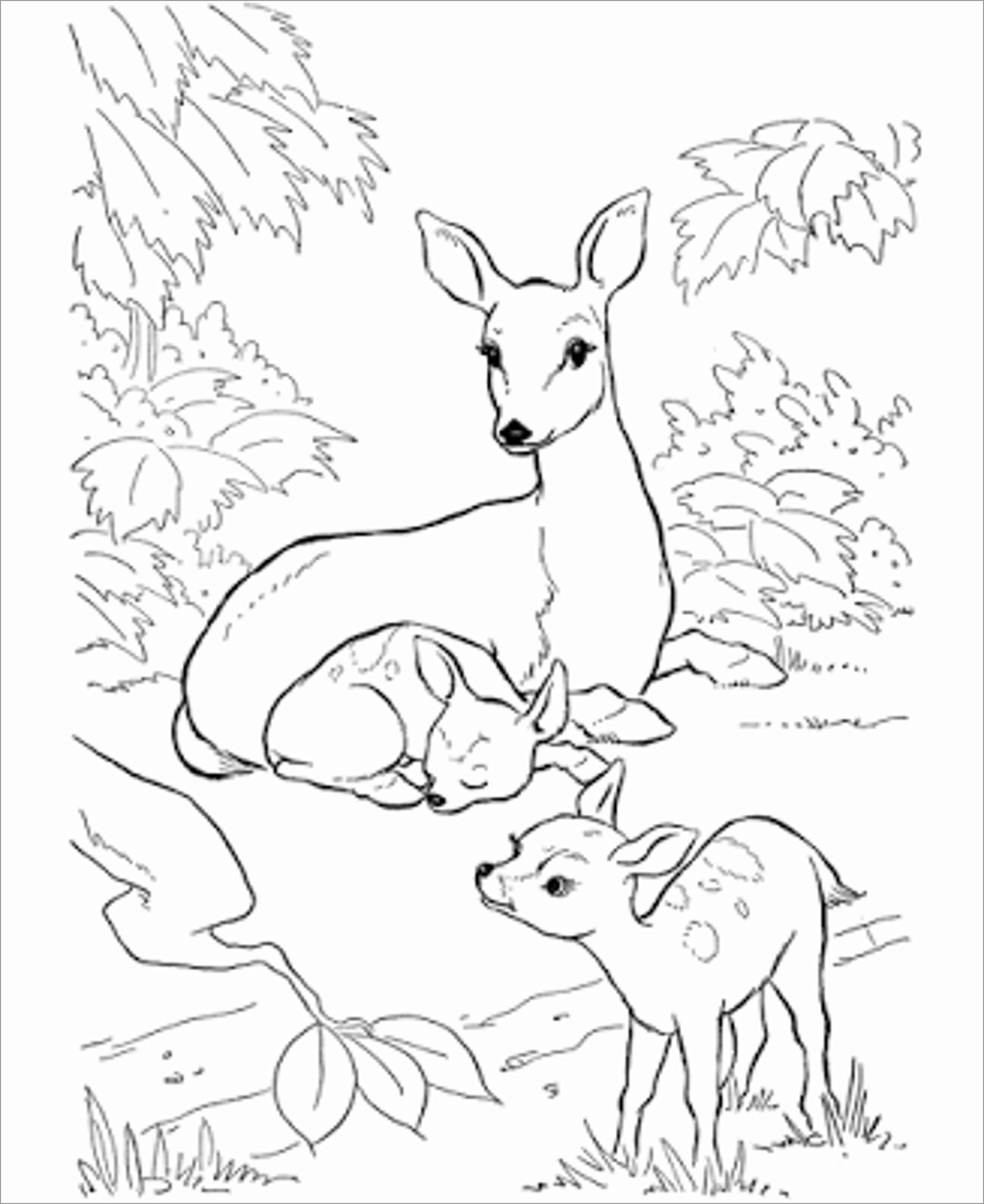 Deer Family Coloring Page ColoringBay Deer Family Coloring Page ColoringBay