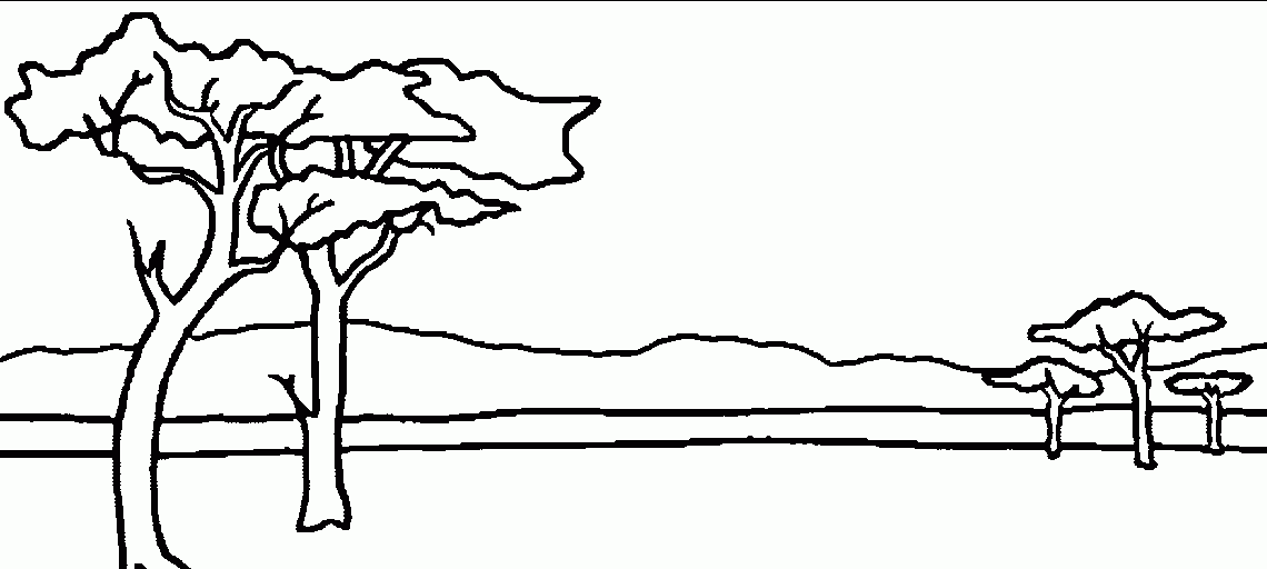Desenho De Savana Africana Para Colorir Tudodesenhos Desenho De Savana Africana Para Colorir Tudodesenhos