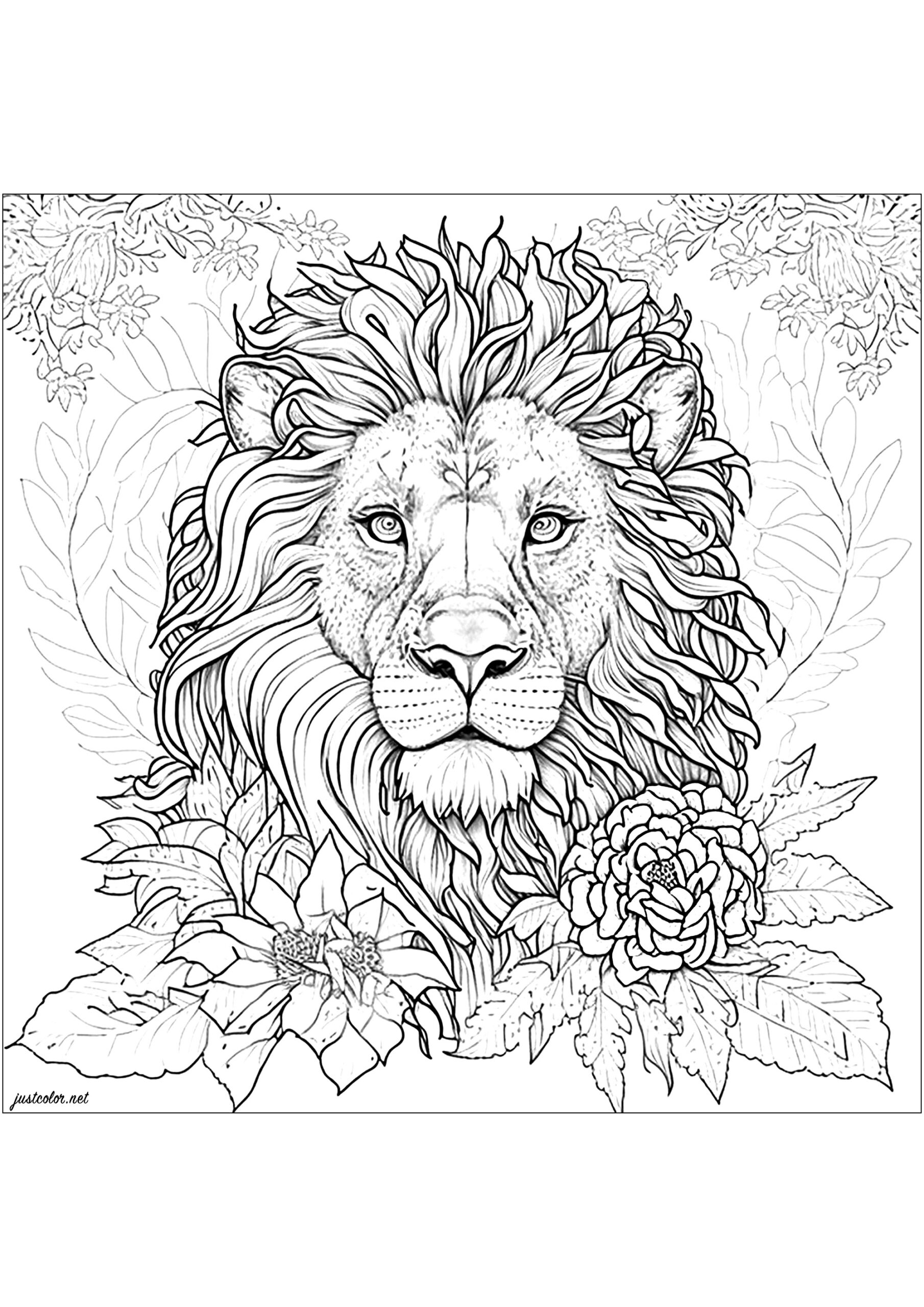 Desenho Detalhado De Flores Para Colorir Gr Tis Grupoats Tec Br Desenho Detalhado De Flores Para Colorir Gr Tis Grupoats Tec Br