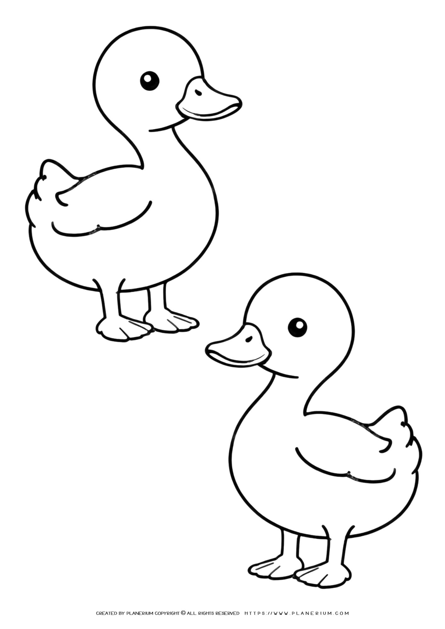 Desenho Para Colorir Patinho Desenho Para Colorir Patinho