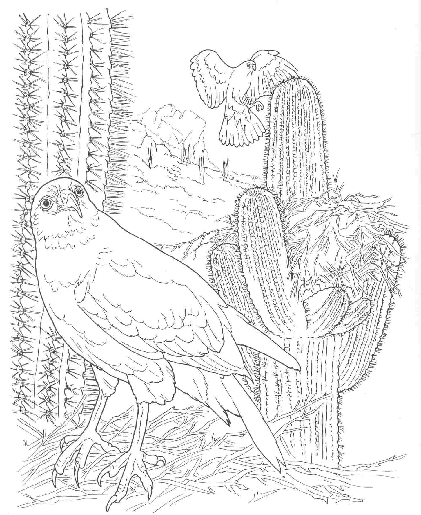 Desert Coloring Pages Printable Printable Templates Desert Coloring Pages Printable Printable Templates
