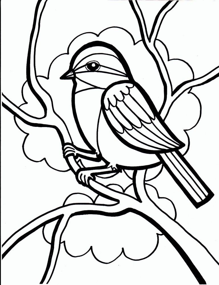 Dibujos De P JAROS Para Colorear Y Pintar Bird Coloring Pages Free Dibujos De P JAROS Para Colorear Y Pintar Bird Coloring Pages Free