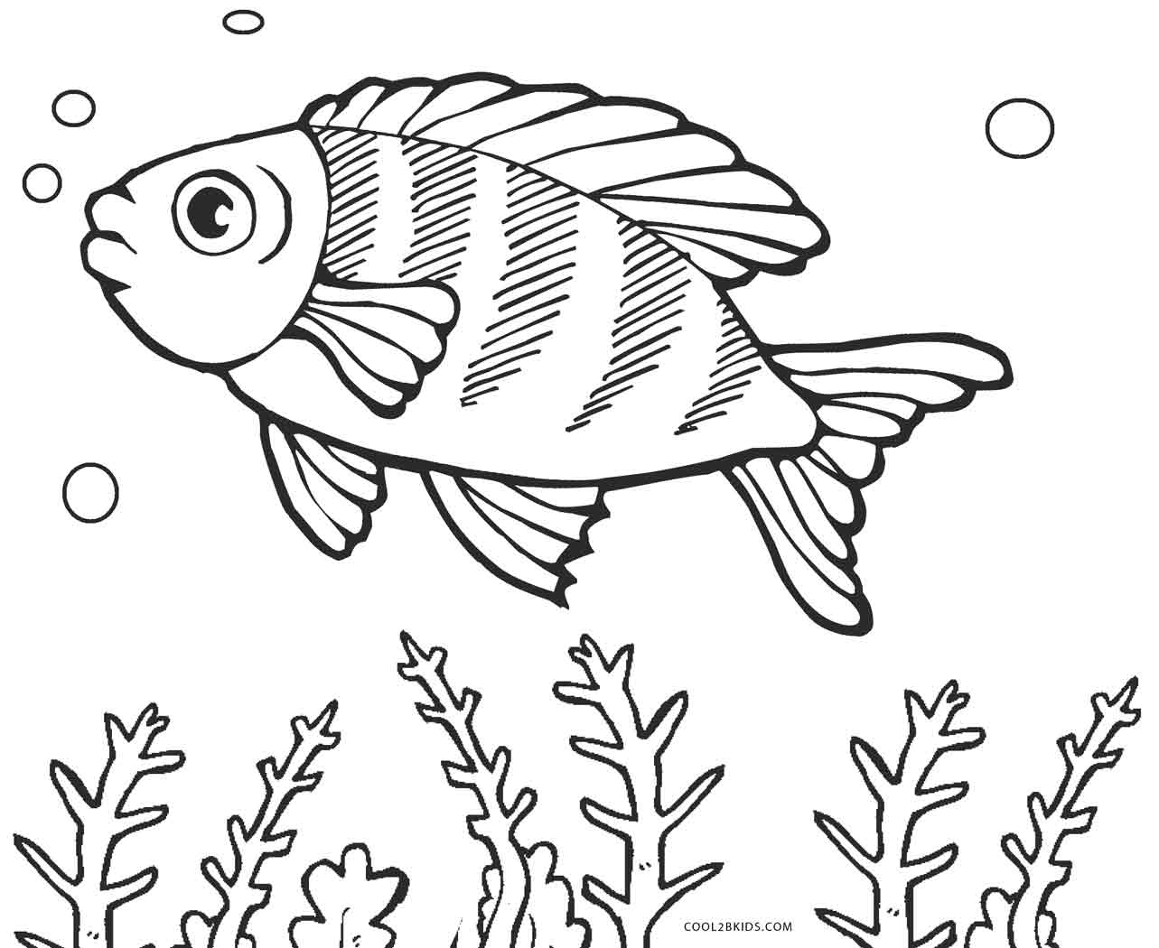 Free Printable Fish Coloring Pages Free Printable Fish Coloring Pages