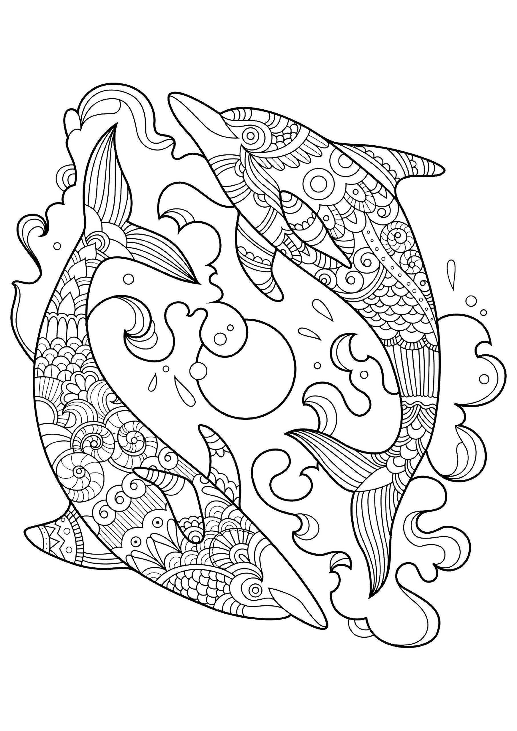 Dolphin Printable Coloring Pages Dolphin Printable Coloring Pages