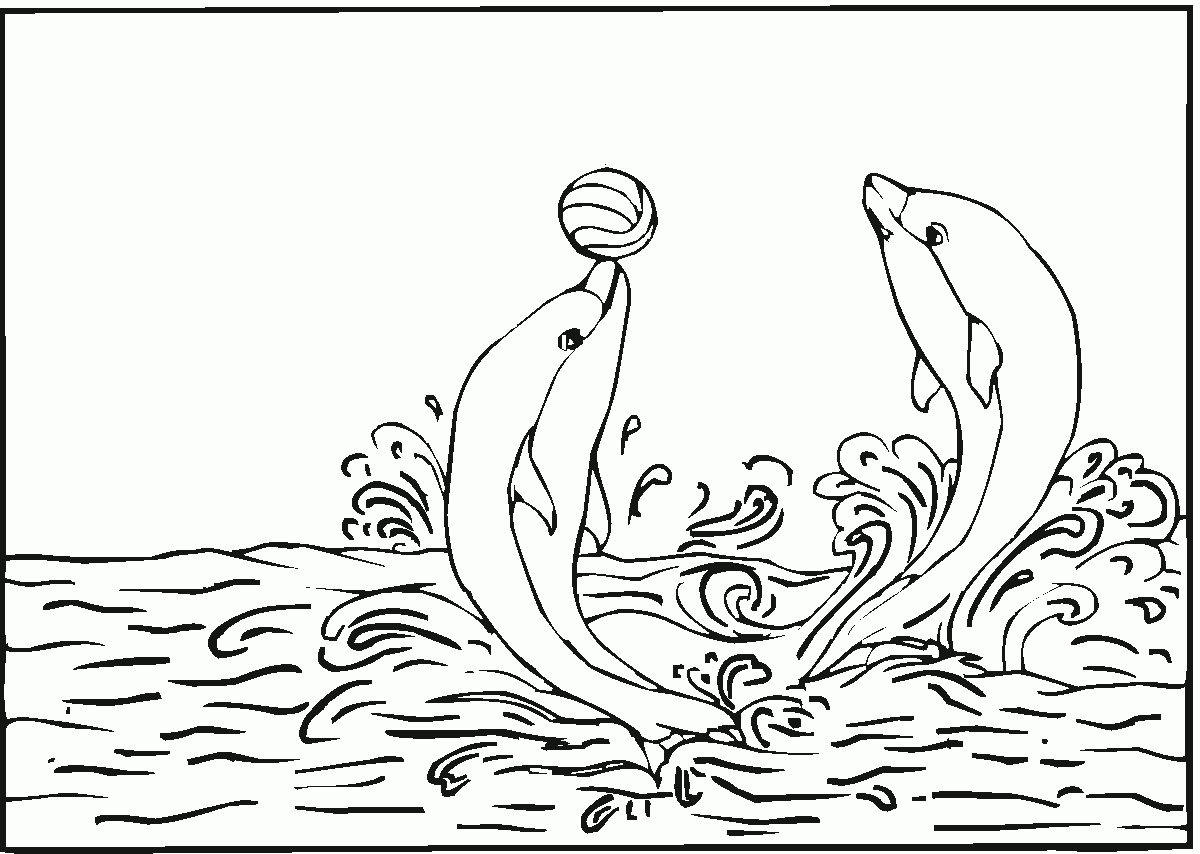 Dolphins Playing With Ball Coloring Page Dolphins Playing With Ball Coloring Page