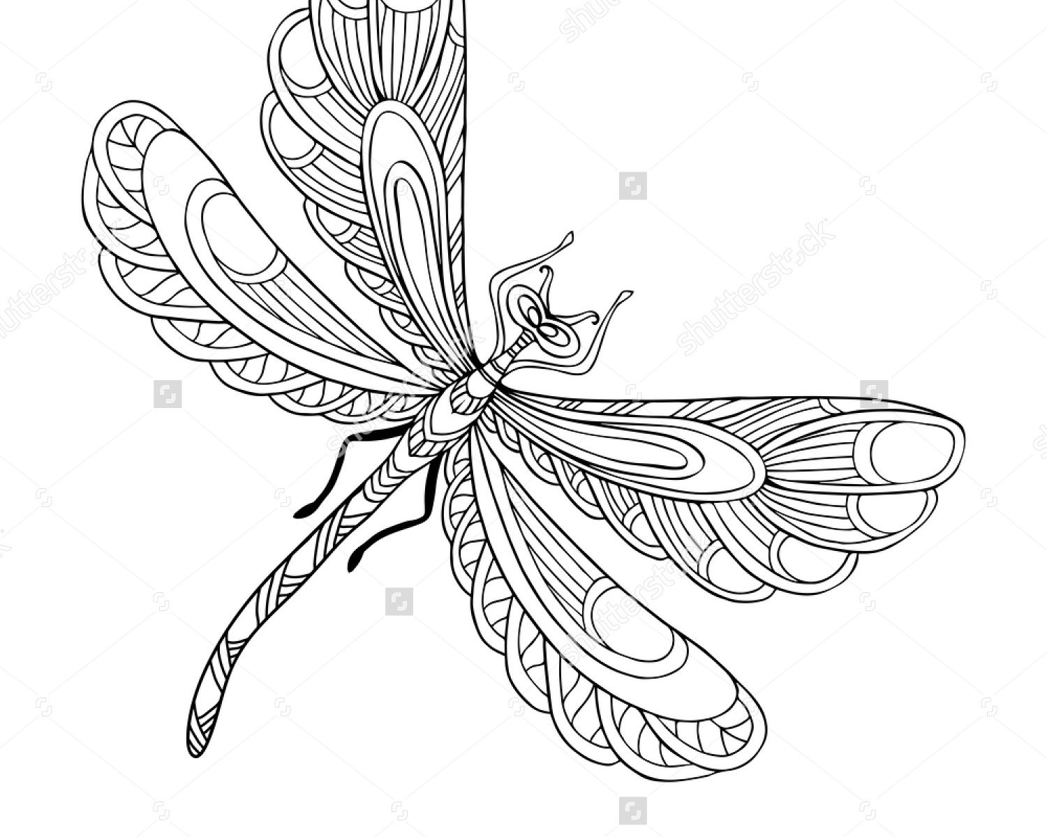 Dragonfly Coloring Pages Printable At GetColorings Free Printable