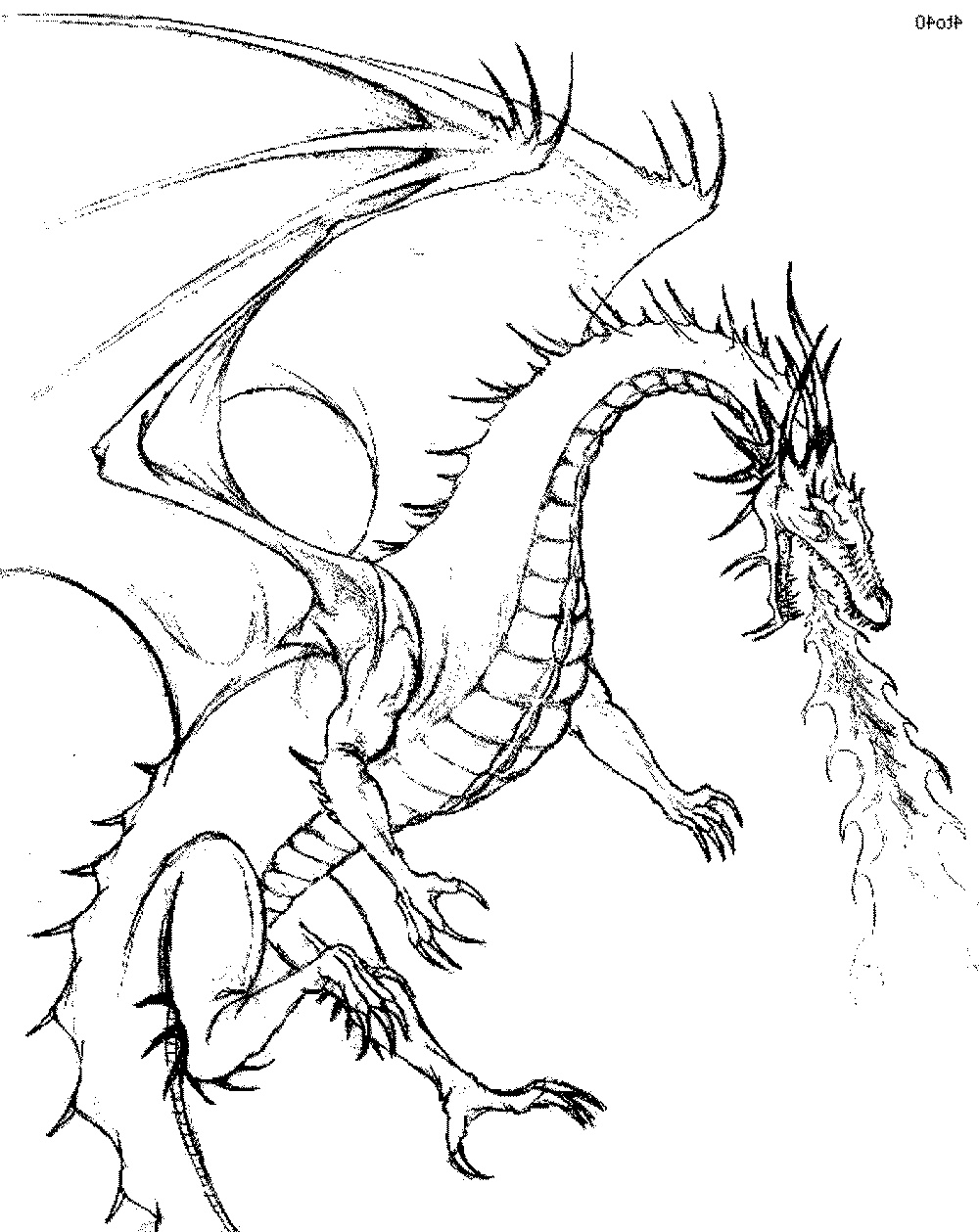 Dragons Printable Coloring Pages Dragons Printable Coloring Pages