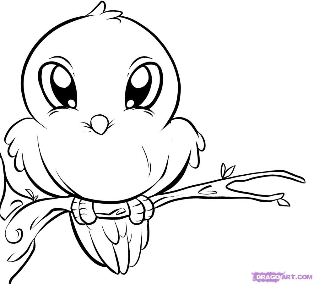 Drawings Of Love Birds How To Draw A Cute Bird Step 6 Baby Animal Drawings Of Love Birds How To Draw A Cute Bird Step 6 Baby Animal