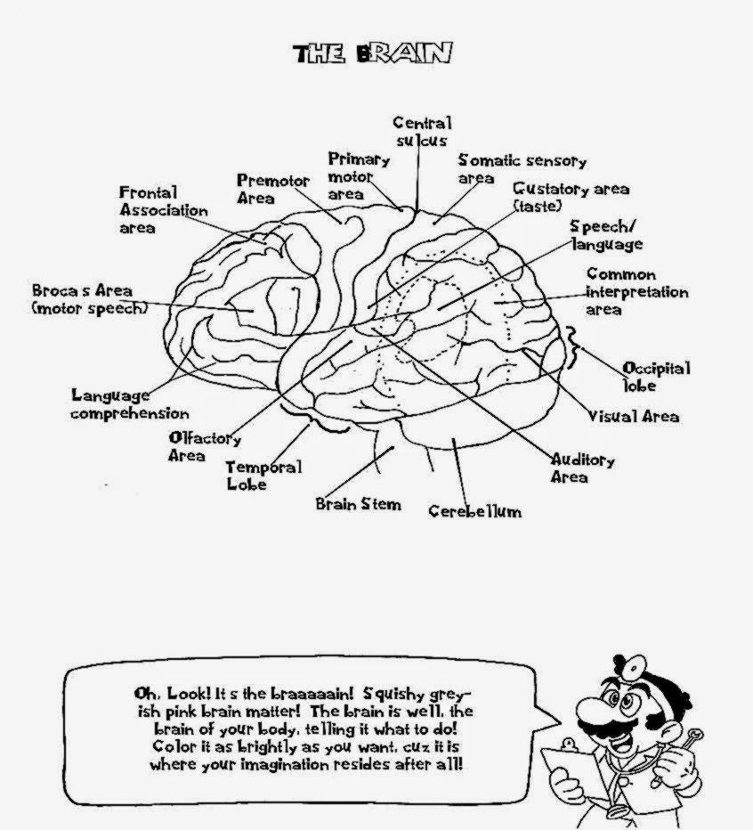 Drug Free Coloring Pages The Brain Free Printable Coloring Pages Drug Free Coloring Pages The Brain Free Printable Coloring Pages