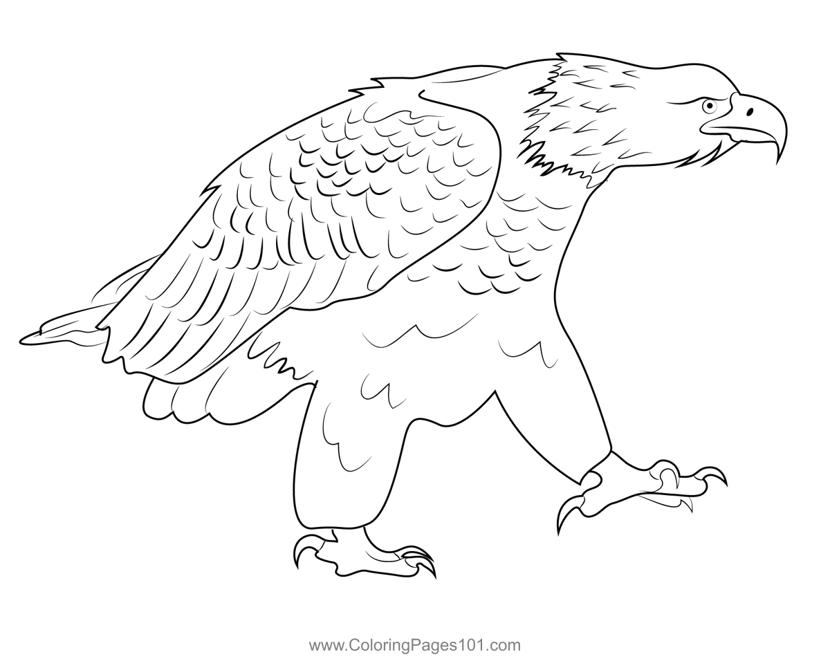 Eagle Coloring Page