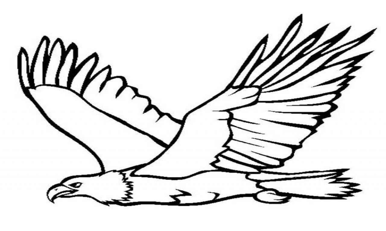 Eagle Printable Coloring Pages At GetDrawings Free Download Eagle Printable Coloring Pages At GetDrawings Free Download