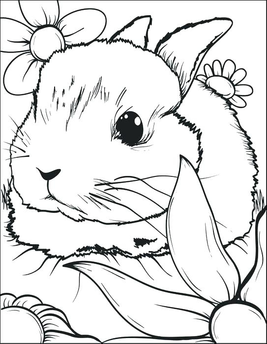 Easter Coloring Pages Hard At GetColorings Free Printable Easter Coloring Pages Hard At GetColorings Free Printable