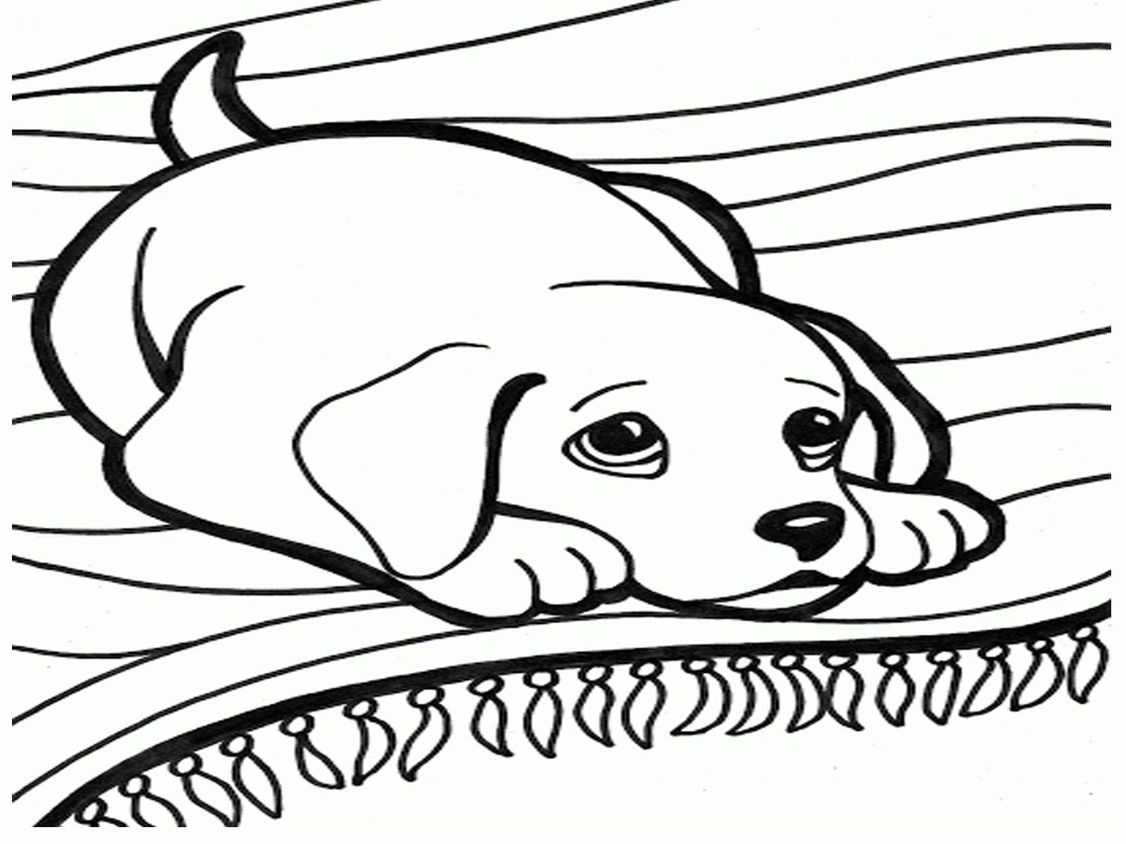 Easy Dog Coloring Pages For Girls Coloring Pages Dogs Coloring Easy Dog Coloring Pages For Girls Coloring Pages Dogs Coloring